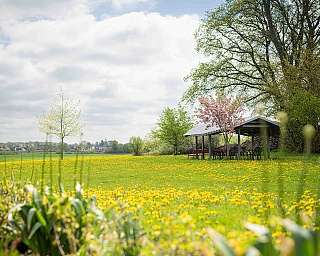 Überdachter Pavillon mit Bänken auf einer Wiese mit gelben Blumen unter bewölktem Himmel